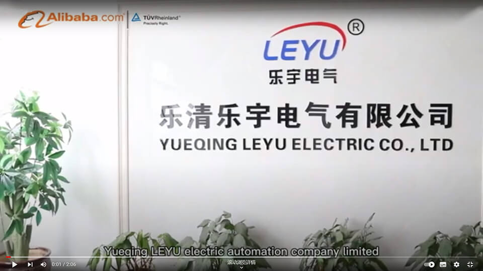 video about leyu